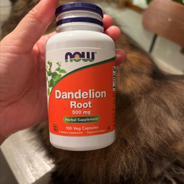 NOW Dandelion Root 500 mg 100 VCAPS